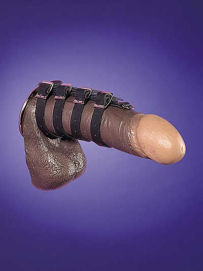 Penis-Streifen