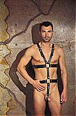 geschirr-leder-lux-schwarz