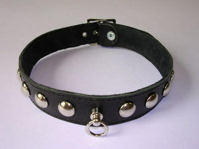Halsband Leder schwarz mit Nieten
