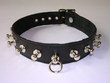 halsband-leder-schwarz-mit-nieten
