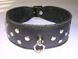 halsband-leder-schwarz-mit-nieten
