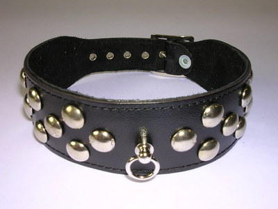 Halsband Leder schwarz mit Nieten