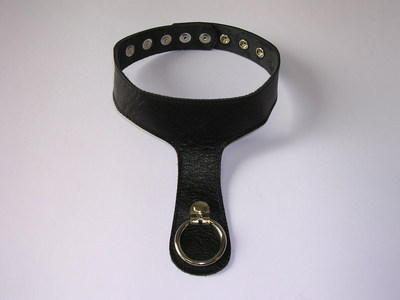 Halsband mit Lasche schwarz