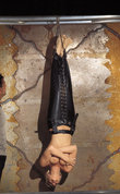 beinfesseln-leder-schwarz