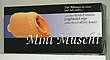 mini-muschi-mit-vibration