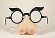 Scherzbrille mit Busennase