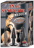 anal-syndicate