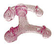 penis-massage-kralle