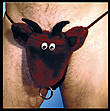 sexy-slip-mit-sound-stier