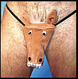 sexy-slip-mit-sound-pferd
