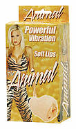 soft-lips-vagina