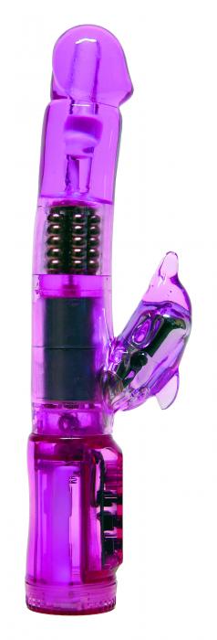 Exotik Dolphin