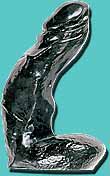 black-angus