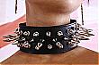 halsband