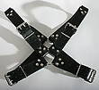 Harness