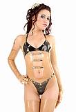 latex-body
