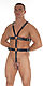 Leder, Lack, Latex und SM von Rimba günstig online bestellen Geschirr Leder-LUX schwarz 5387359000 von Rimba