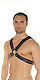 Geschirr Leder schwarz 5387366000 von Rimba