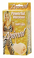 Soft-Lips-Vagina