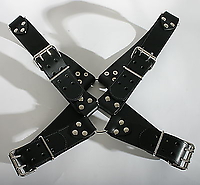 Harness