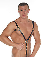 Geschirr Leder schwarz