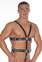 Geschirr Leder schwarz