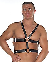 Geschirr Leder schwarz