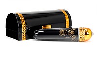 DP Pirates Hidden Pleasure Vibrator
