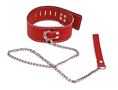 Lederhalsband mit Führungsleine