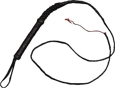 Leder Peitsche Der Drachentänzer