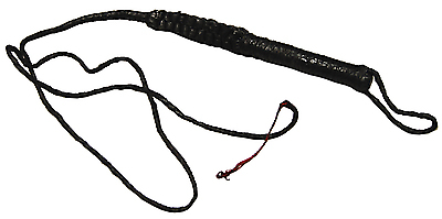 Leder Peitsche Der Lange Ritt