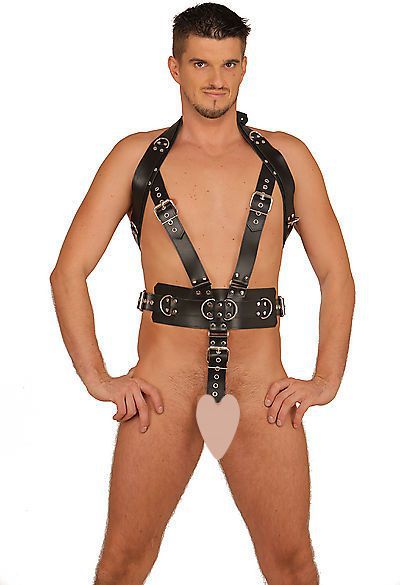 Riemenbody mit Hodenring