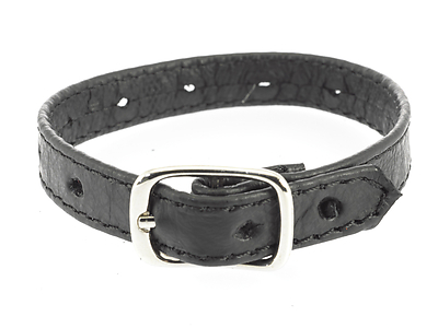 Lederriemen für Penis und Hoden