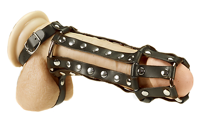 Penismanschette mit Riemen und Nieten