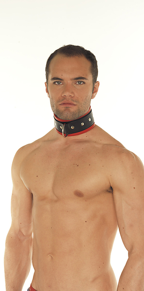 Halsfessel Leder schwarz/rot