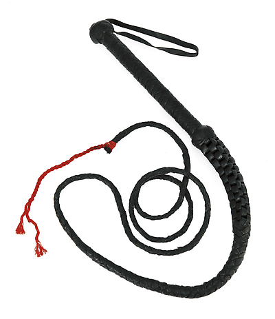 Arabische Pferdepeitsche