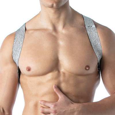 Silberner Arm Harness