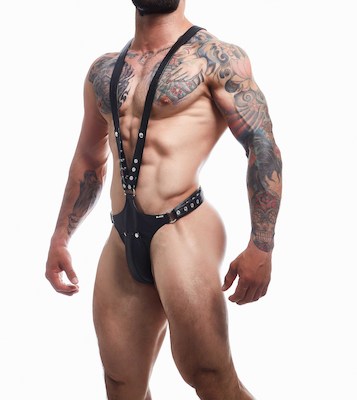 Body Harness