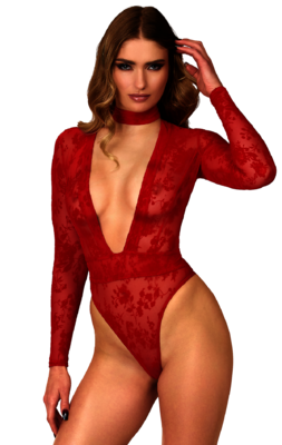 Lovebite Plunging V Bodysuit