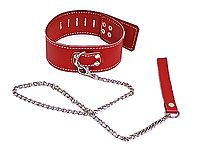 Lederhalsband mit Führungsleine