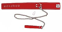 Lederhalsband mit Führungsleine