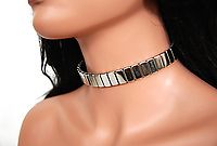 Lederhalsband / Plattennieten