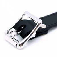 Knebel mit Trensen-Mundstück